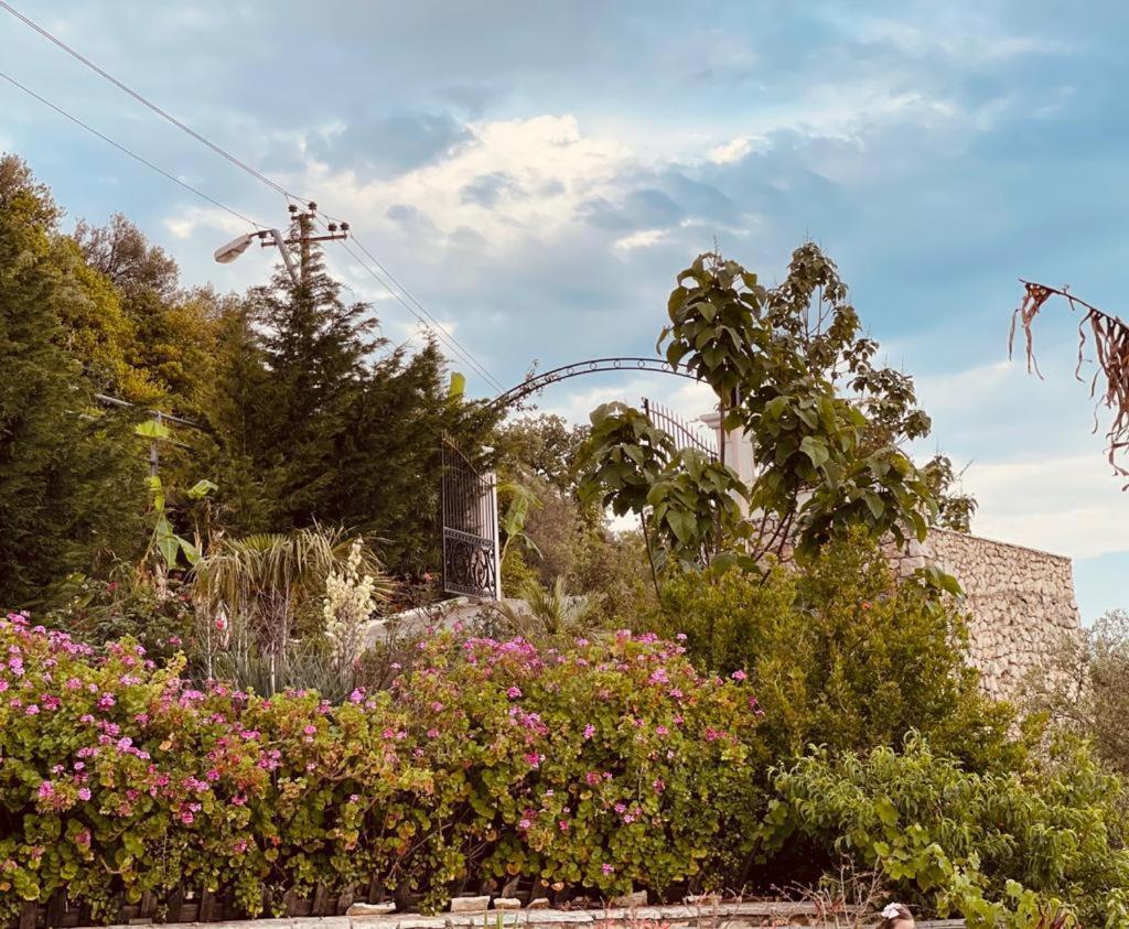 Hotel Imperial Dhermi Exterior photo